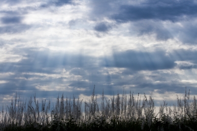 image of sun rays peeking through clouds